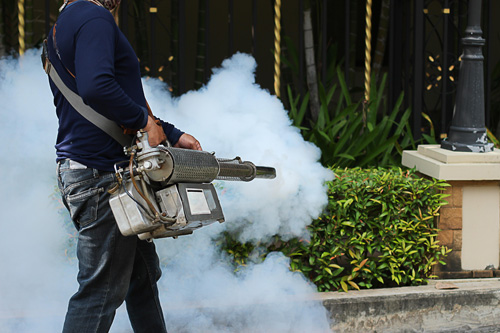 pestcontrolhome.jpg