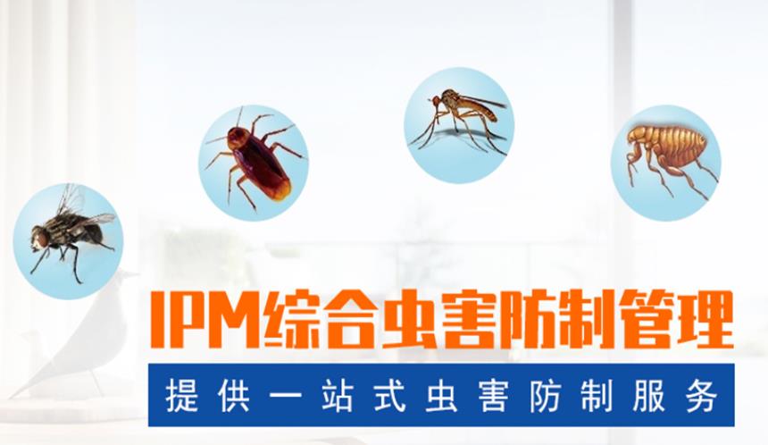 怎么挑选优质的除虫害公司应该呢?安欣给您支招.jpg 怎么挑选优质的除虫害公司应该呢?安欣给您支招.jpg