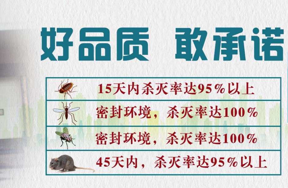 除虫灭鼠服务.jpg